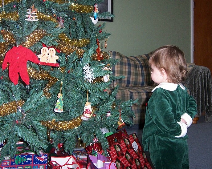 Mommy and daddy told me not to touch the tree.
